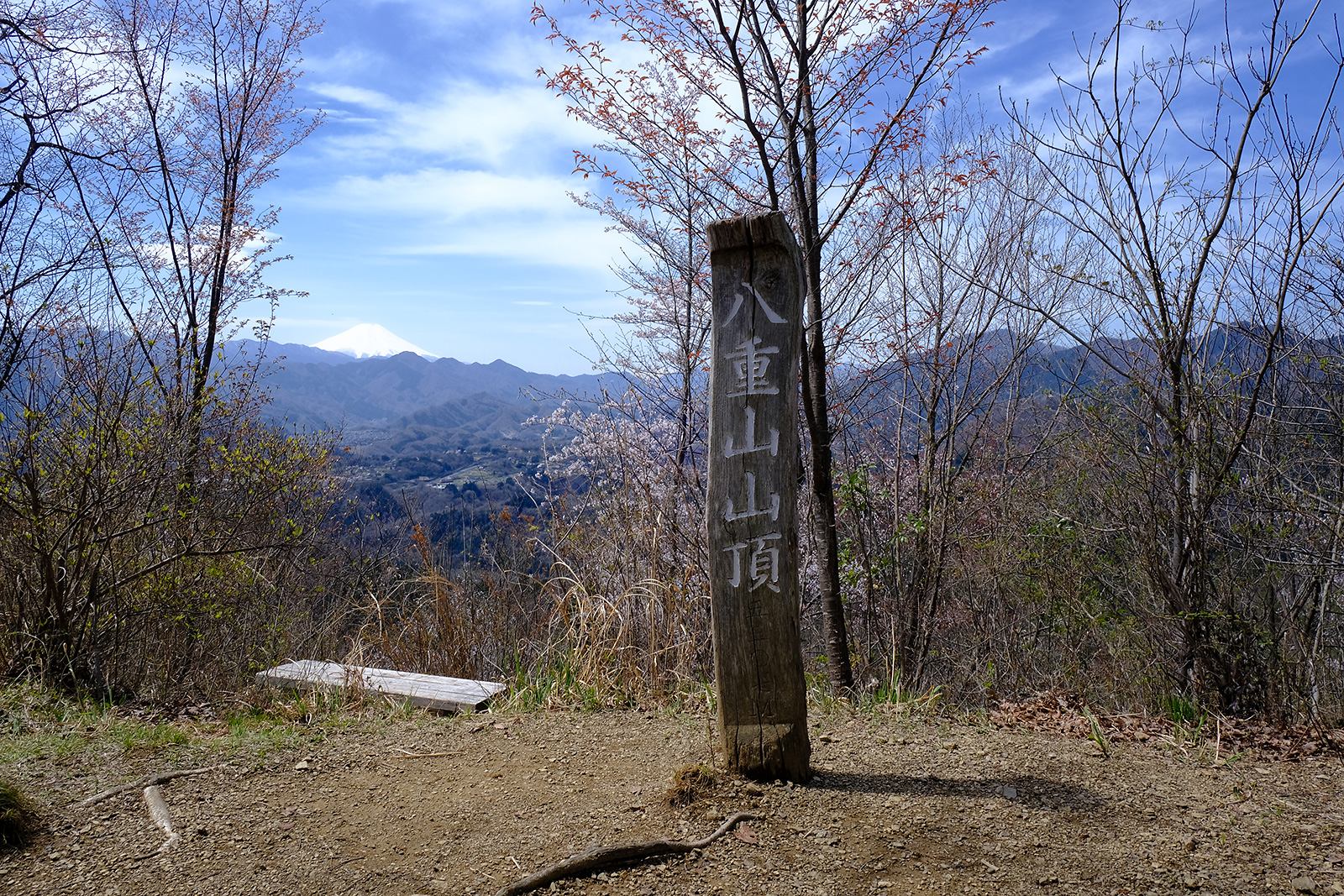 低山　ハイキング　絶景　富士山展望　富士見　春　桜　ヤマザクラ　新緑　八重山（やえやま）　写真＝佐々木亨　Photo by Toru Sasaki