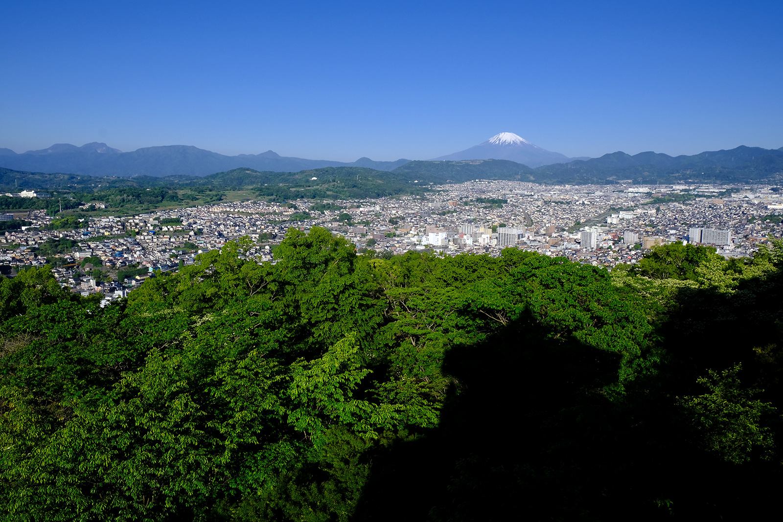 低山　ハイキング　絶景　富士山展望　富士見　春　新緑　小田急沿線　弘法山（こうぼうやま）　写真＝佐々木亨　Photo by Toru Sasaki
