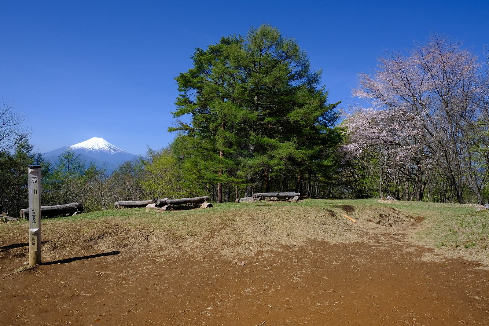 低山　ハイキング　絶景　富士山展望　富士見　春　桜　ヤマザクラ　新緑　扇山（おうぎやま）　写真＝佐々木亨　Photo by Toru Sasaki