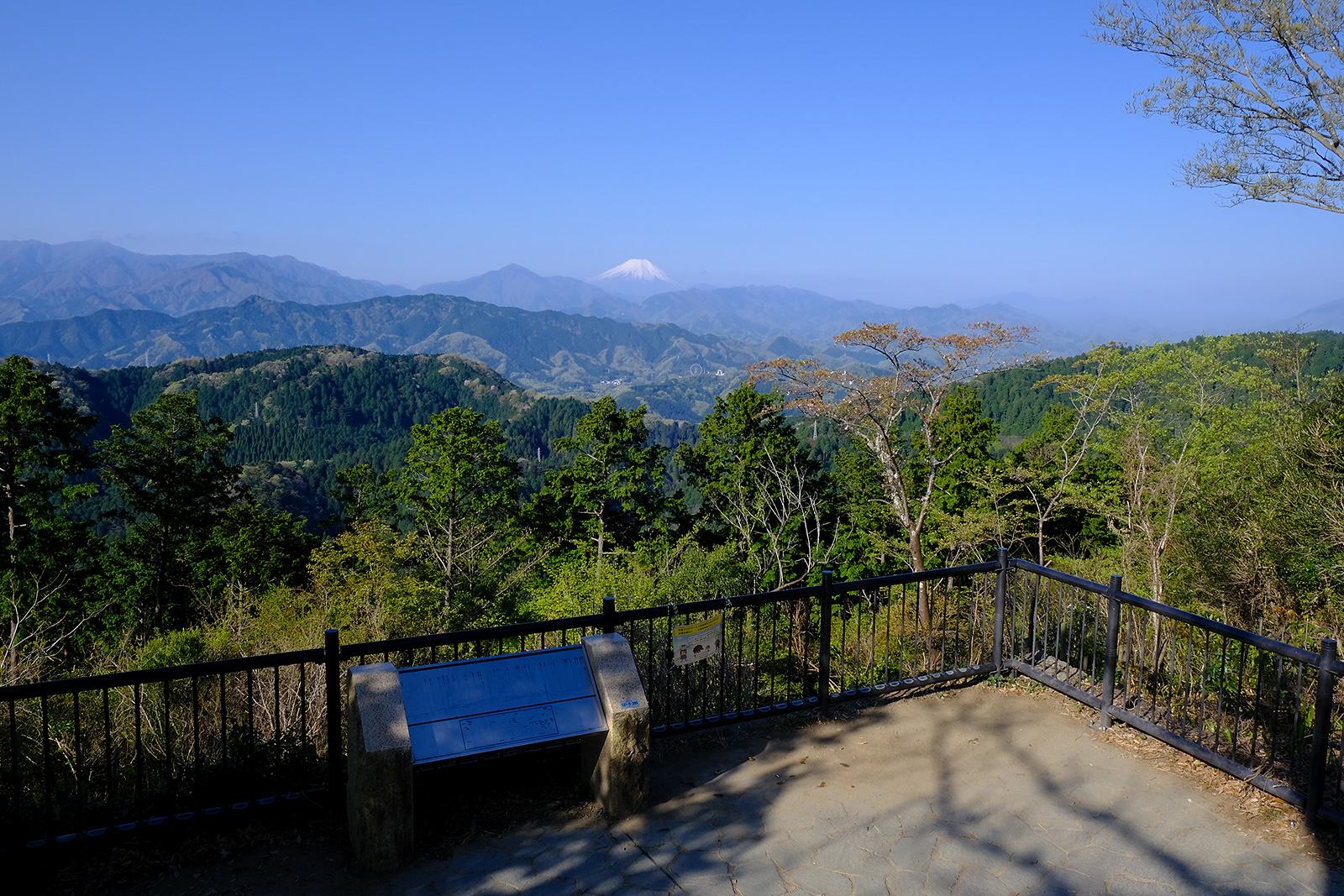 低山　ハイキング　絶景　富士山展望　富士見　春　桜　新緑　高尾山（たかおさん）　写真＝佐々木亨　Photo by Toru Sasaki