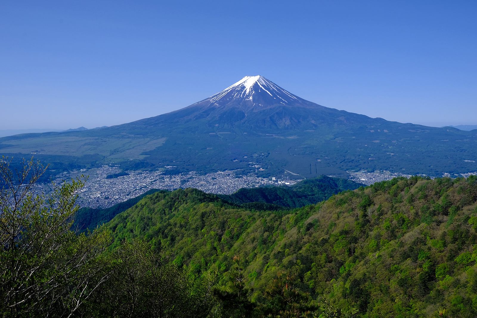低山　ハイキング　絶景　富士山展望　三ツ峠山（みつとうげやま）　写真＝佐々木亨　Photo by Toru Sasaki