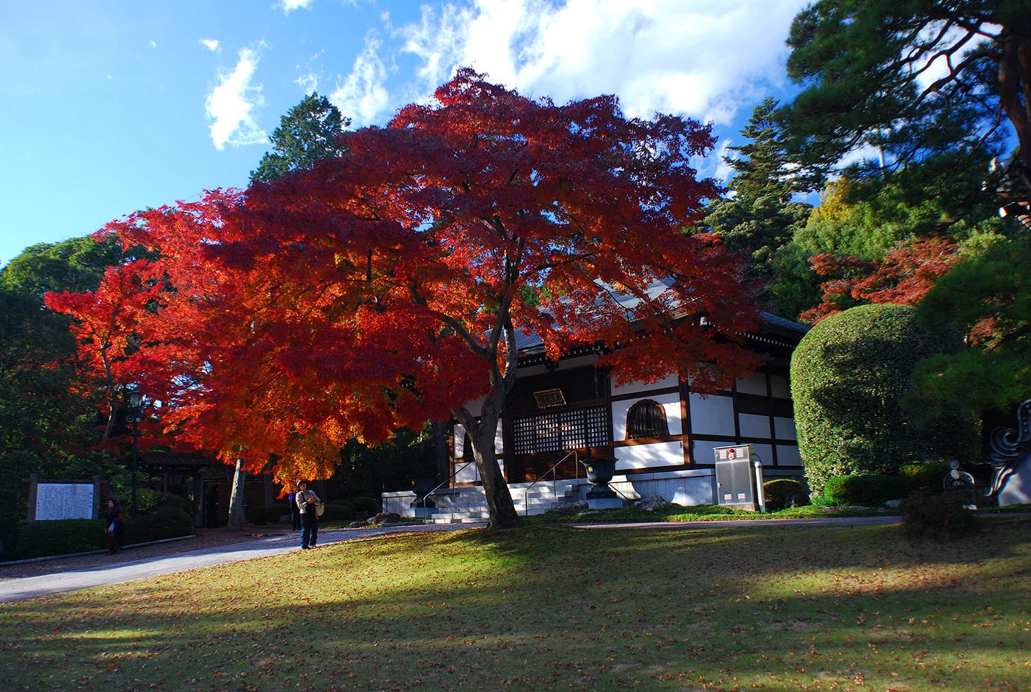 奥武蔵　天覧山　低山　ハイキング　秋　紅葉　絶景　写真＝佐々木亨　Photo by Toru Sasaki