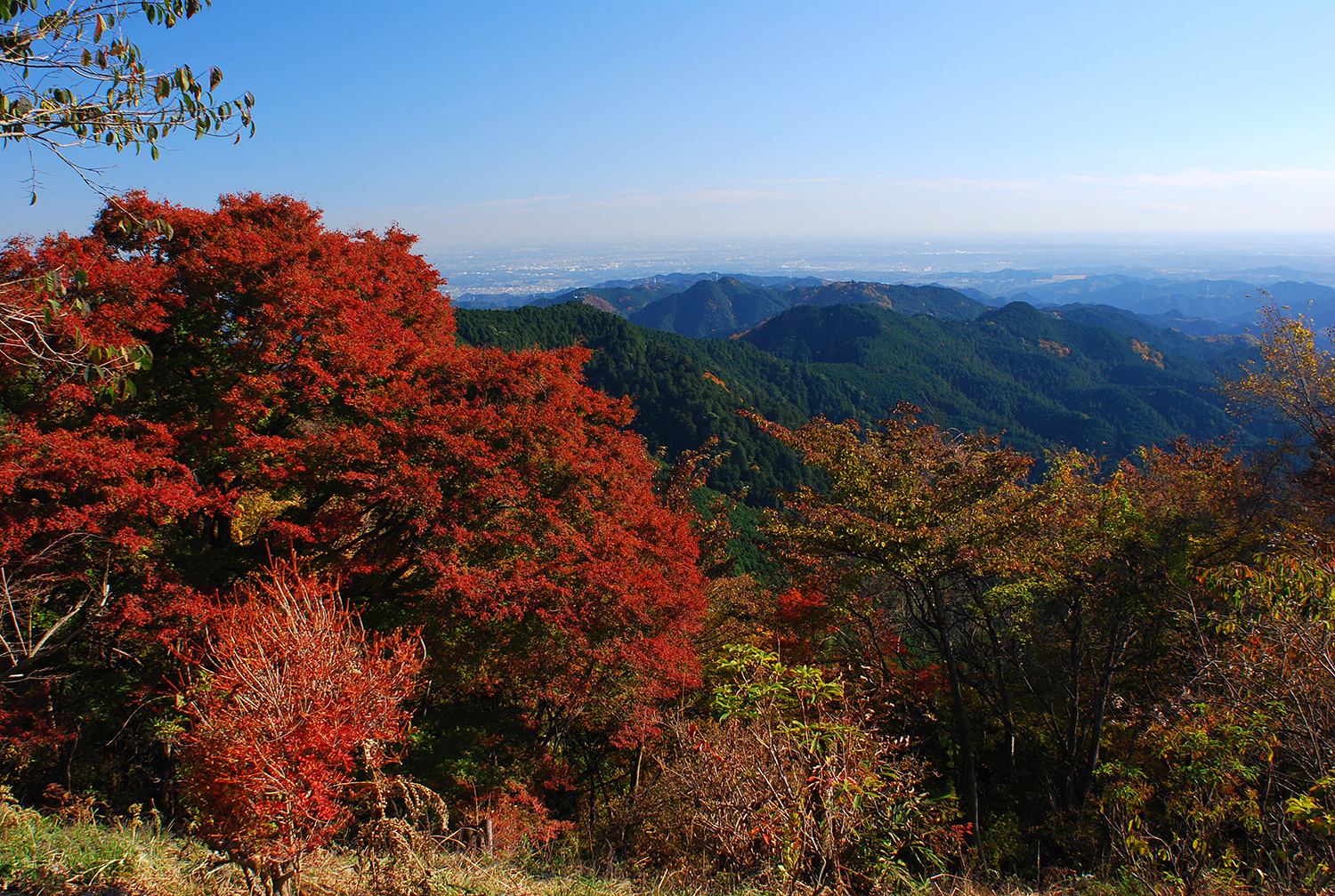 奥武蔵　高山不動尊　顔振峠　低山　ハイキング　秋　紅葉　絶景　写真＝佐々木亨　Photo by Toru Sasaki