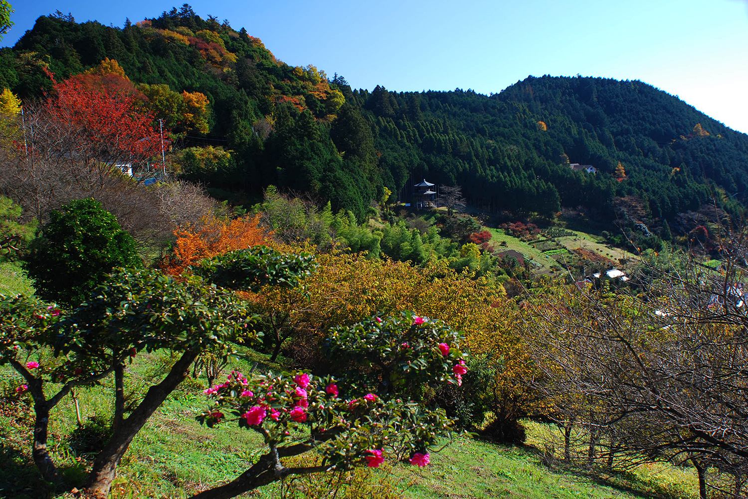 奥武蔵　高山不動尊　顔振峠　低山　ハイキング　秋　紅葉　絶景　写真＝佐々木亨　Photo by Toru Sasaki