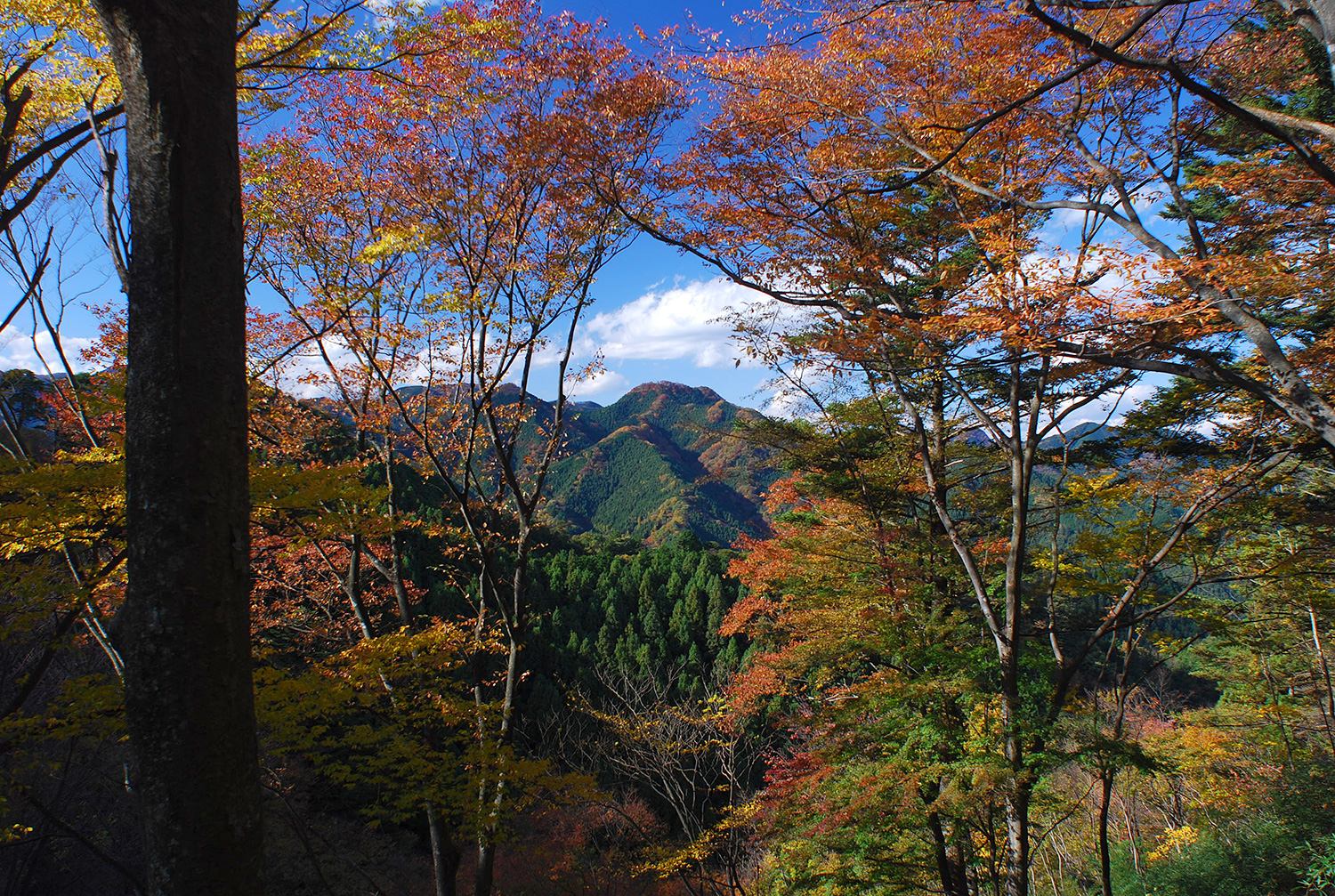 奥武蔵　伊豆ヶ岳　子ノ権現　低山　ハイキング　秋　紅葉　絶景　写真＝佐々木亨　Photo by Toru Sasaki