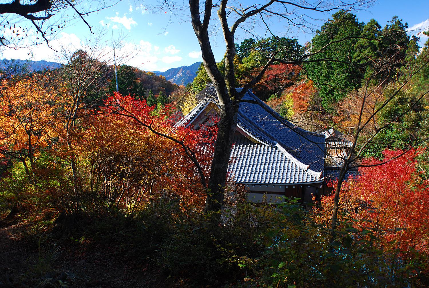 奥武蔵　伊豆ヶ岳　子ノ権現　東郷公園　低山　ハイキング　秋　紅葉　絶景　写真＝佐々木亨　Photo by Toru Sasaki