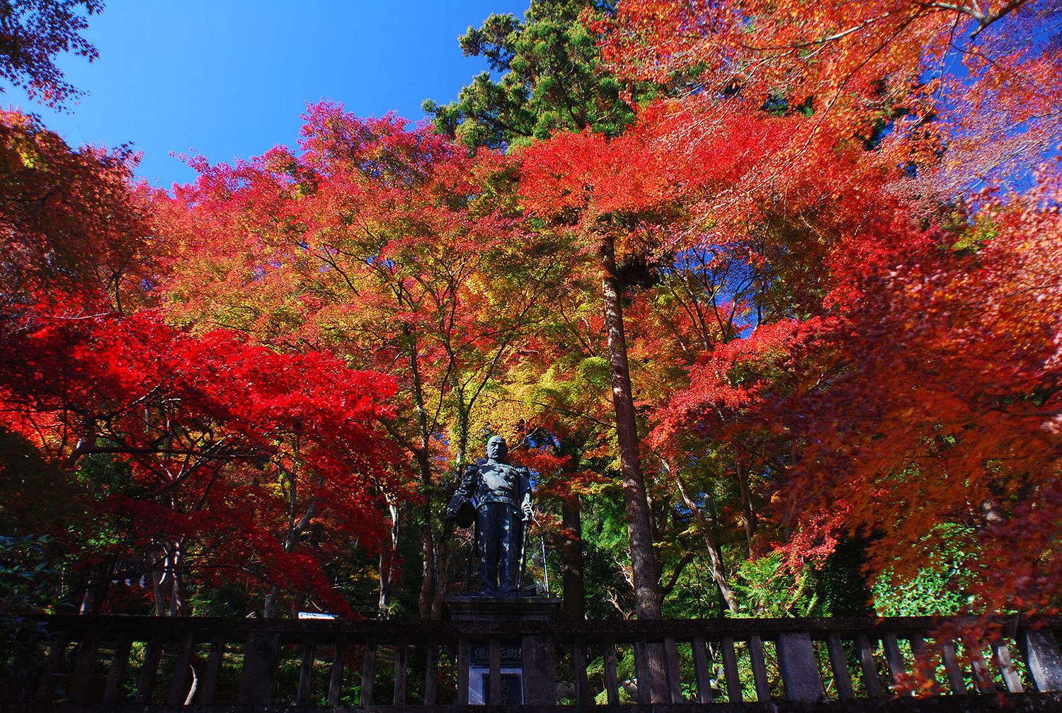 奥武蔵　伊豆ヶ岳　子ノ権現　東郷公園　低山　ハイキング　秋　紅葉　絶景　写真＝佐々木亨　Photo by Toru Sasaki