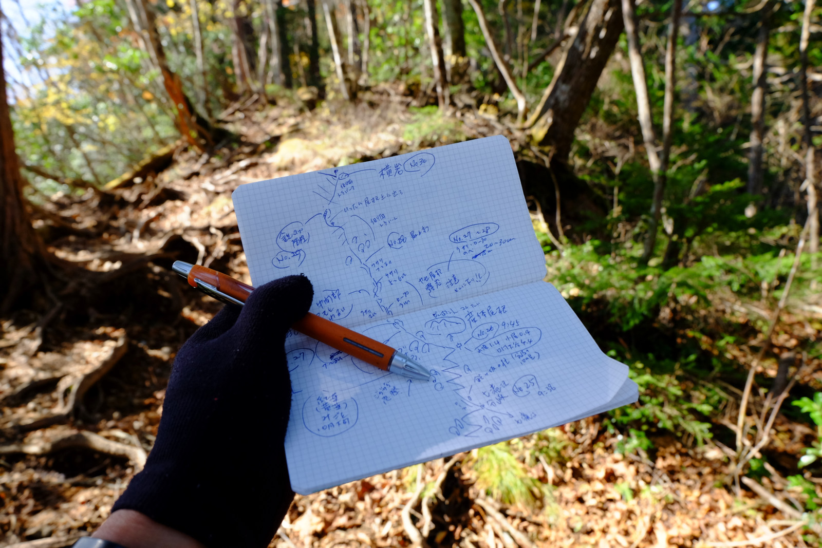 登山道・ハイキングコースの巡回・レポート 実踏調査 地図制作