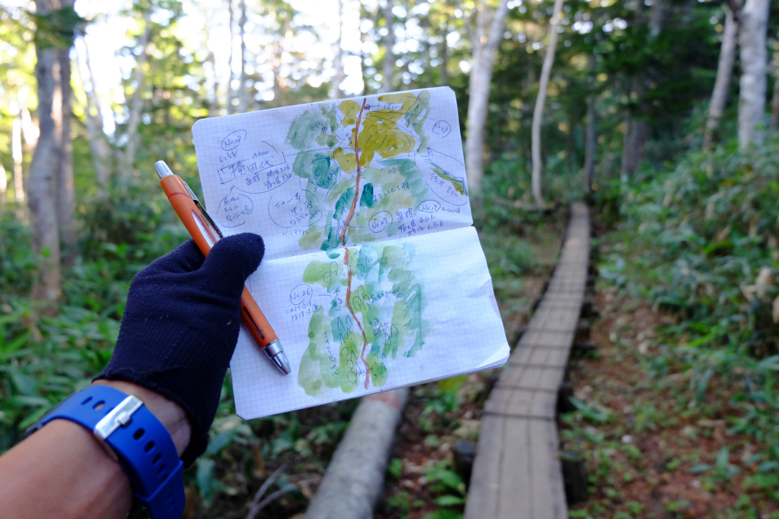 登山道・ハイキングコースの巡回・レポート 実踏調査 地図制作