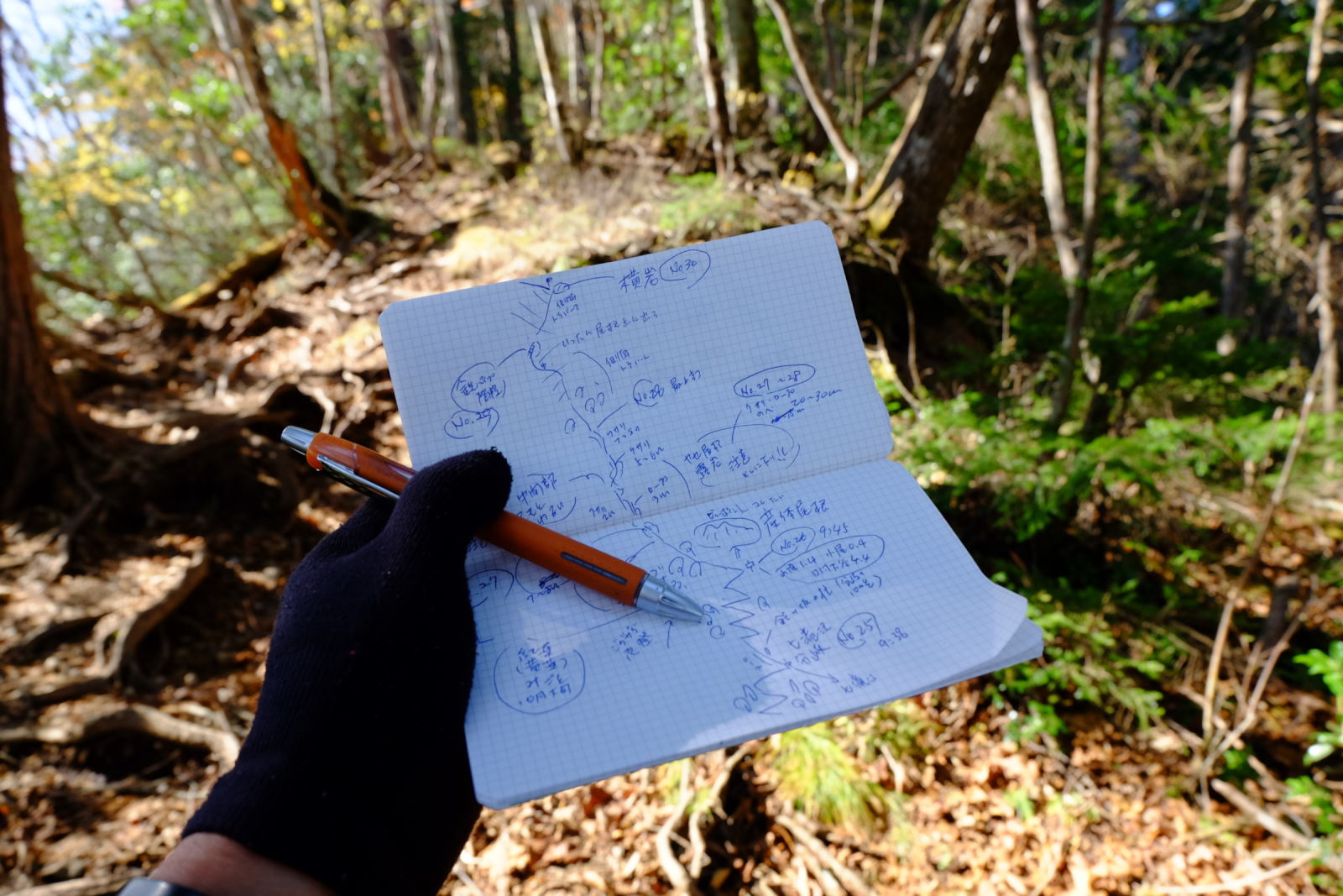 登山道・ハイキングコースの巡回・レポート 実踏調査 地図制作