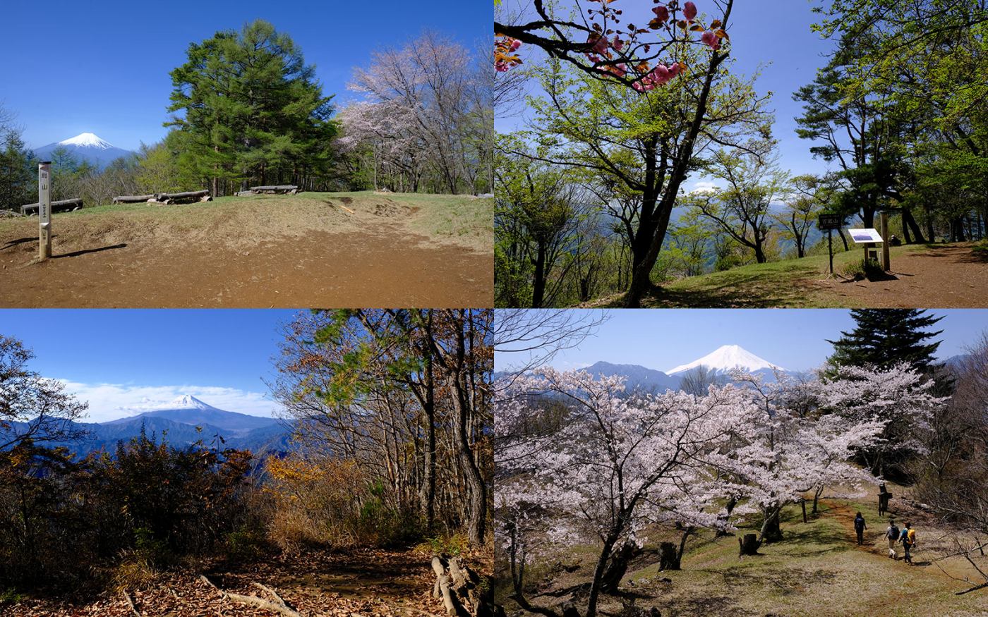 増補改訂版　詳しい地図で迷わず歩く　奥多摩・高尾500km　扇山　百蔵山　権現山　岩殿山