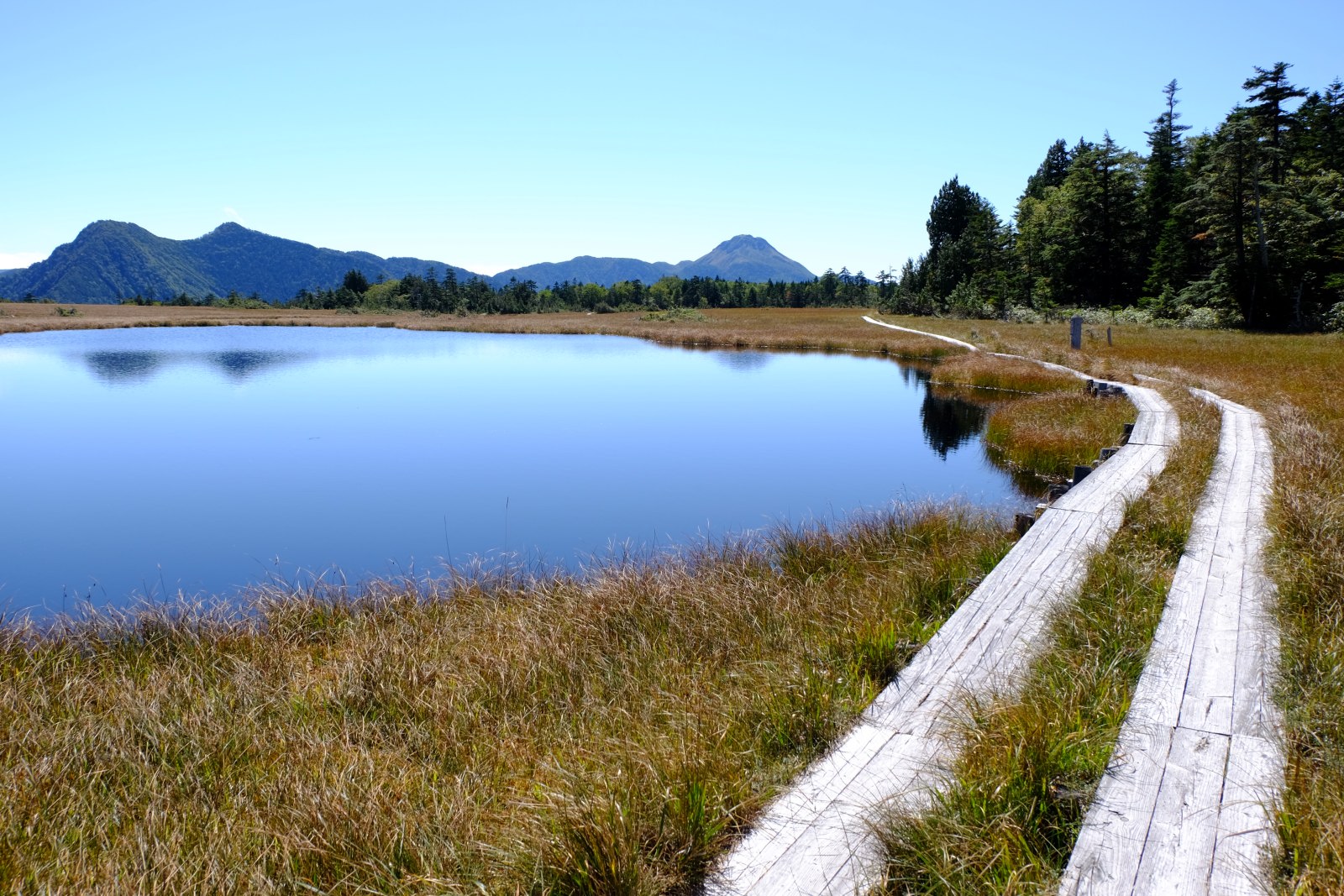 ヤマケイ アルペンガイド Alpen Guide 尾瀬 佐々木亨著 山と溪谷社 尾瀬 鬼怒沼