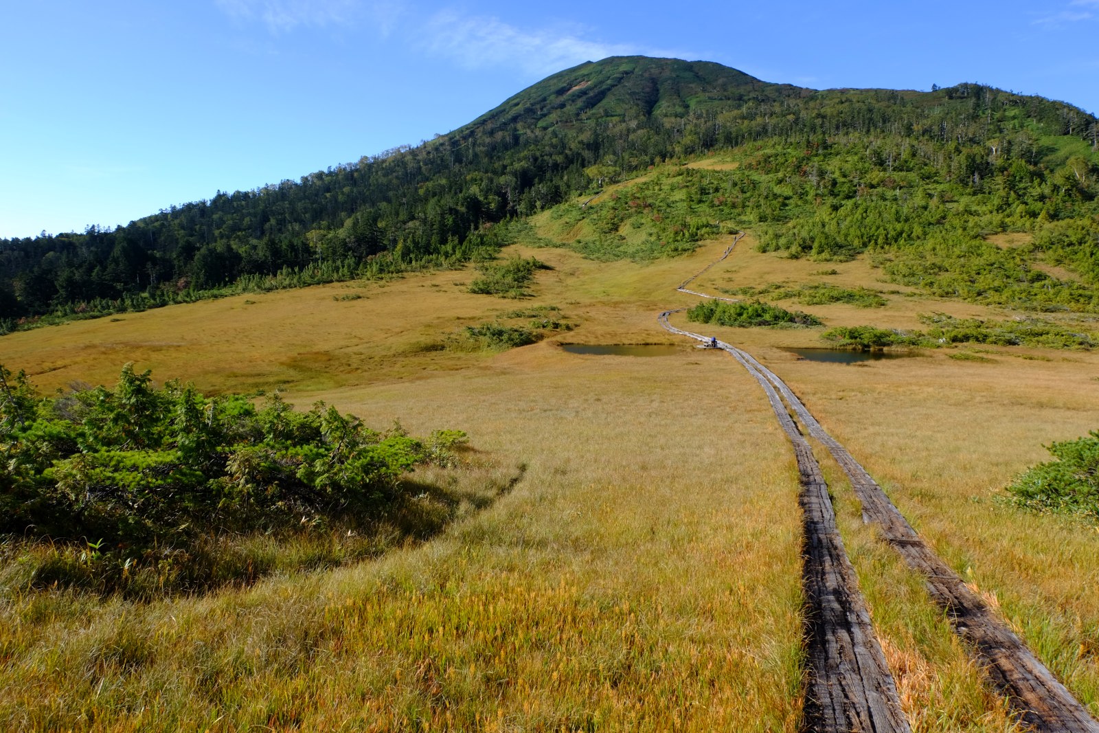 ヤマケイ アルペンガイド Alpen Guide 尾瀬 佐々木亨著 山と溪谷社 尾瀬 燧ヶ岳 熊沢田代