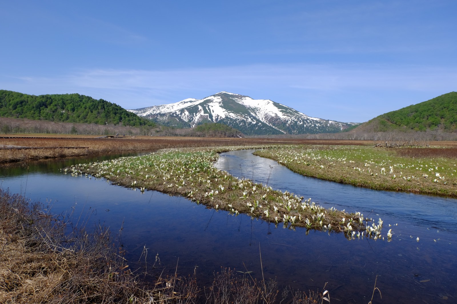 ヤマケイ アルペンガイド Alpen Guide 尾瀬 佐々木亨著 山と溪谷社 尾瀬ヶ原 ミズバショウ 至仏山