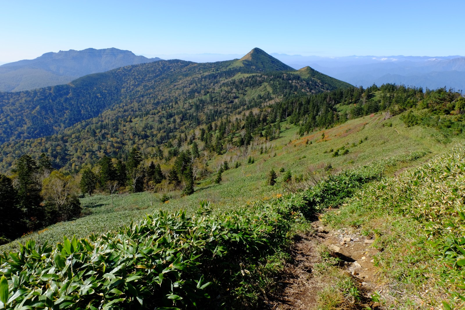 ヤマケイ アルペンガイド Alpen Guide 尾瀬 佐々木亨著 山と溪谷社 尾瀬 笠ヶ岳