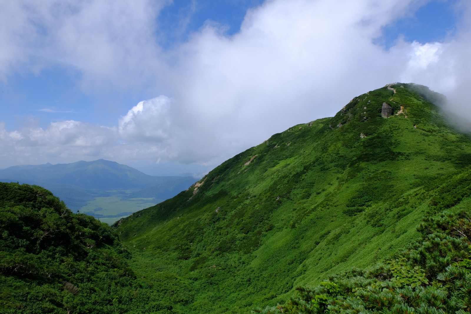 ヤマケイ アルペンガイド Alpen Guide 尾瀬 佐々木亨著 山と溪谷社 尾瀬 燧ヶ岳 俎嵓 柴安嵓 ナデッ窪 長英新道