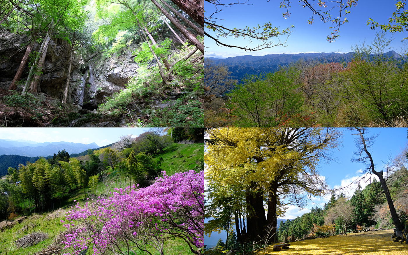 増補改訂版 詳しい地図で迷わず歩く 奥武蔵・秩父500km ハイキングコース 高山不動尊 不動三滝 不動滝 関八州見晴台 大イチョウ