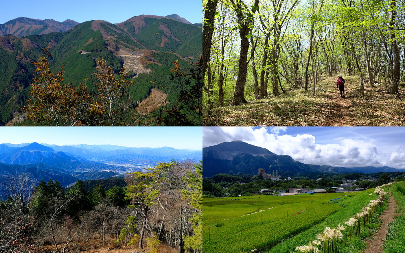 増補改訂版 詳しい地図で迷わず歩く 奥武蔵・秩父500km ハイキングコース 武川岳 旧正丸峠 牛立久保 丸山 横瀬町 寺坂棚田 武甲山