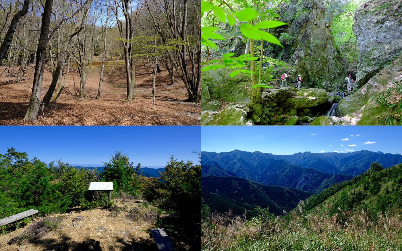増補改訂版 詳しい地図で迷わず歩く 奥武蔵・秩父500km ハイキングコース 大持山 ウノタワ 棒ノ嶺 白谷沢 ゴルジュ 蕨山 有間山 滝入ノ頭