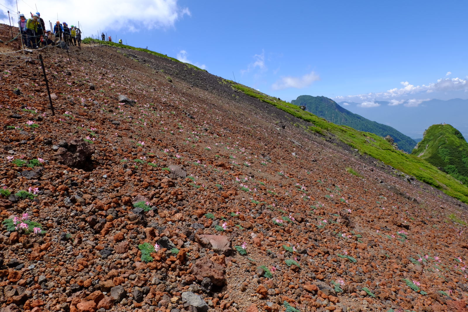 ヤマケイ　アルペンガイド　Alpen Guide　八ヶ岳　佐々木亨著　山と溪谷社　南八ヶ岳　横岳　硫黄岳　コマクサ群落地