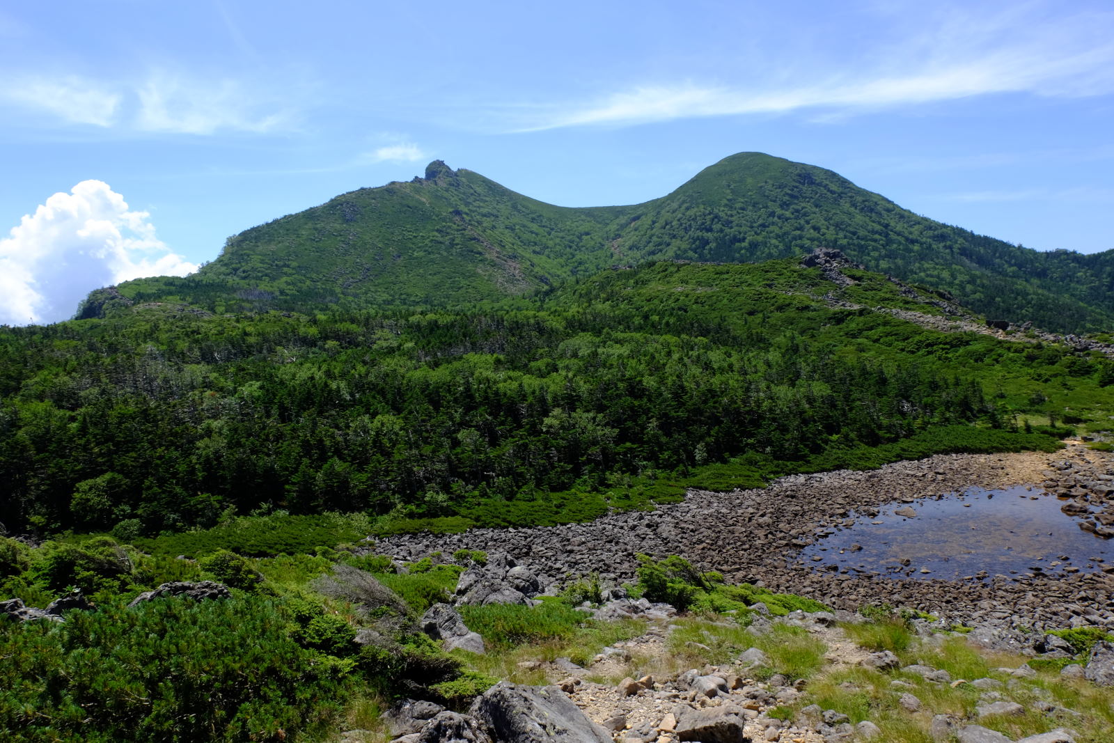 ヤマケイ　アルペンガイド　Alpen Guide　八ヶ岳　佐々木亨著　山と溪谷社　北八ヶ岳　天狗岳