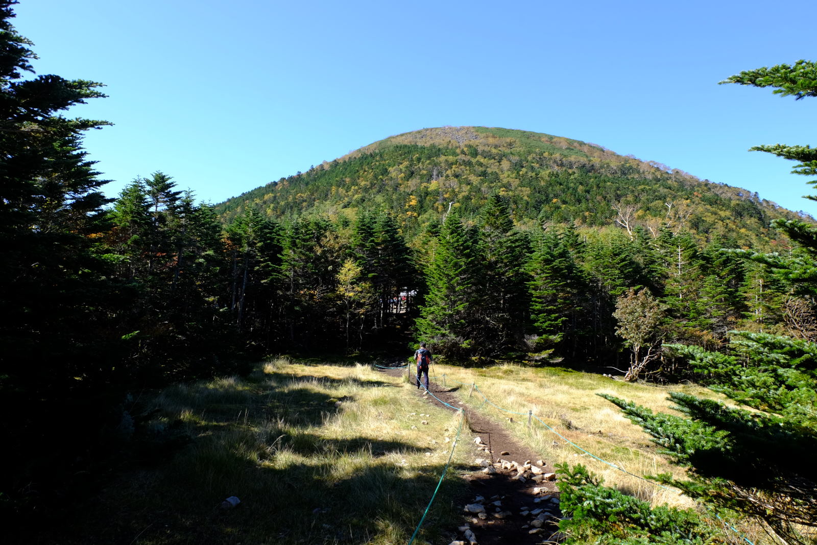 ヤマケイ　アルペンガイド　Alpen Guide　八ヶ岳　佐々木亨著　山と溪谷社　北八ヶ岳　蓼科山
