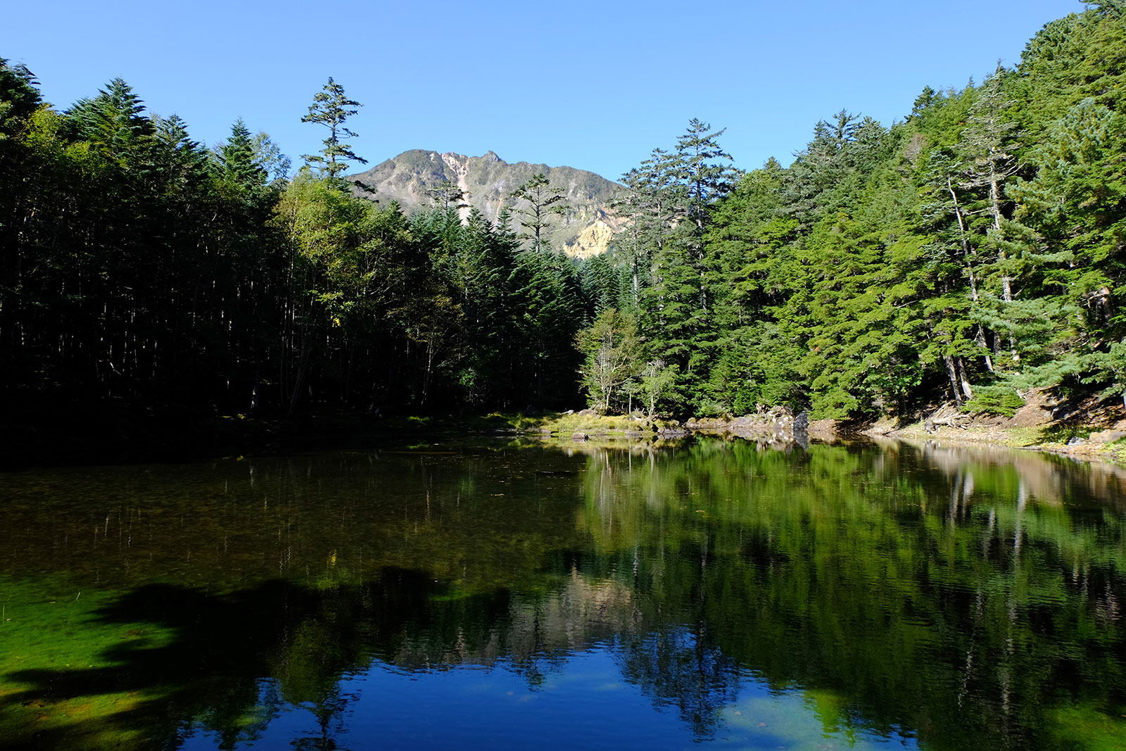 ヤマケイ　アルペンガイド　Alpen Guide　八ヶ岳　佐々木亨著　山と溪谷社　北八ヶ岳　みどり池　天狗岳